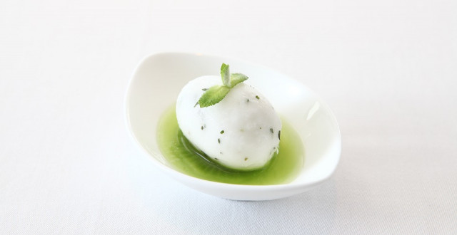 Procrema 100 froid SSemi-sorbetto Ivoire, menta e lime SOSA